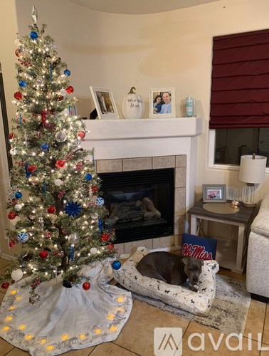 A dog is sitting in a dog bed in front of a Christmas tree.
