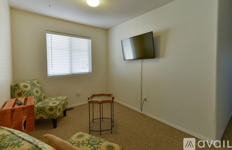 A living room with a sofa, chair, and television.