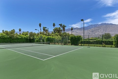 A tennis court with a net and palm trees in the background.