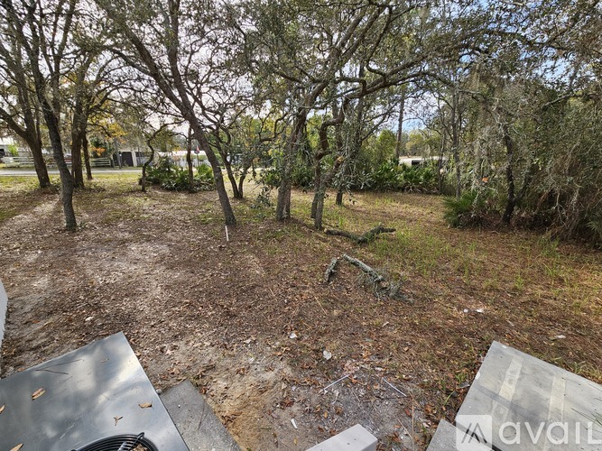 A backyard with trees and a concrete slab.