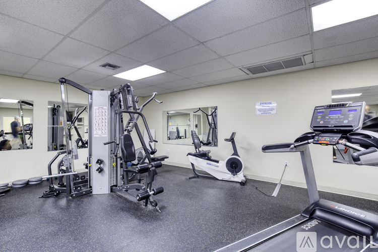 A gym with a treadmill, weights, and exercise equipment.