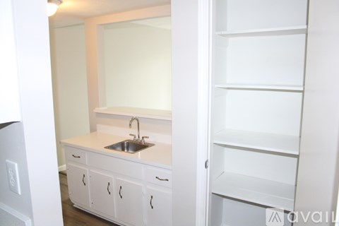 A white kitchen with a sink and cabinets.