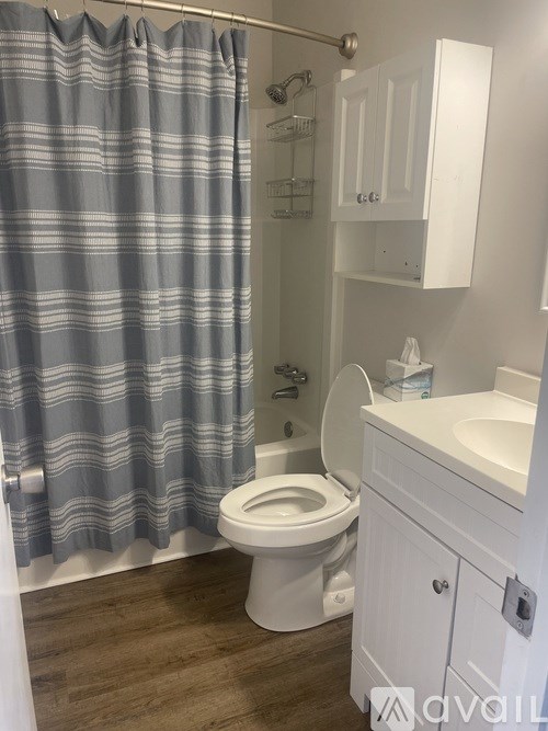 A bathroom with a toilet, sink, and shower curtain.