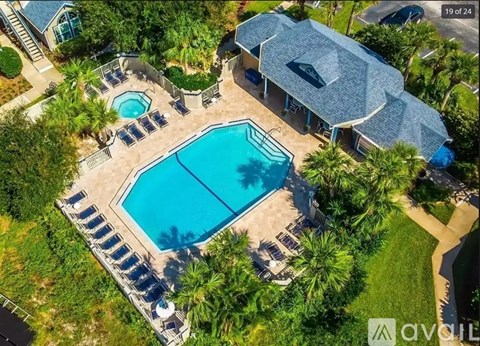 A large swimming pool surrounded by palm trees and lounge chairs.