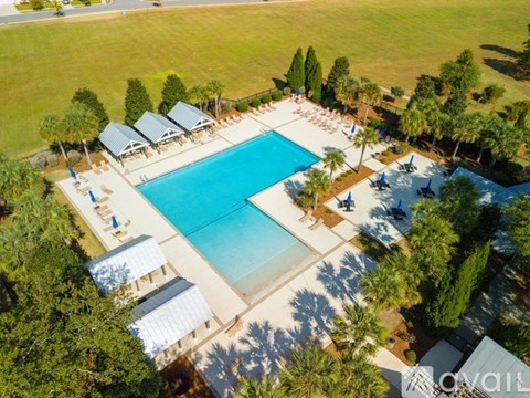 An aerial view of a swimming pool surrounded by trees and sun loungers.