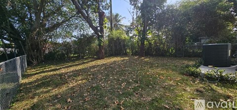 A backyard with a fence and trees.