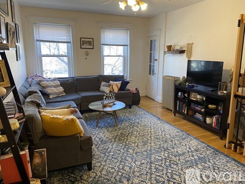 A living room with a grey couch and a blue patterned rug.