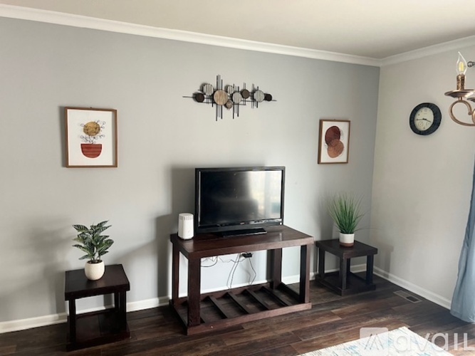 A living room with a television and two potted plants.