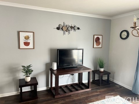 A living room with a television and two potted plants.