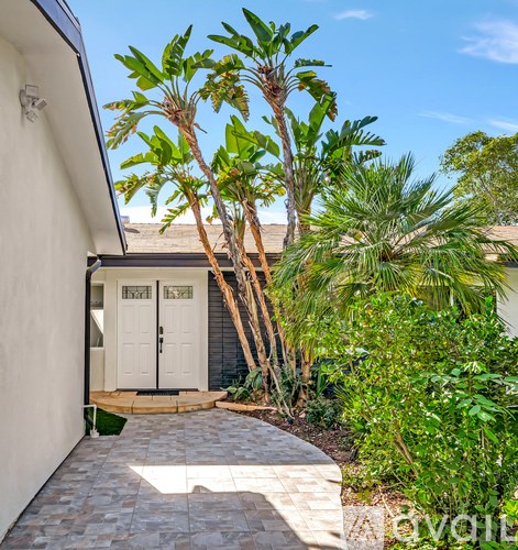 A house with a white door and a small garden with a palm tree.