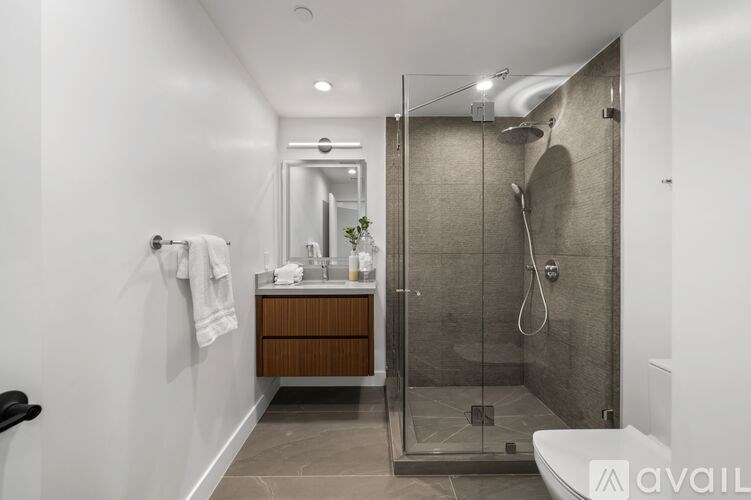 A bathroom with a walk-in shower and a toilet.