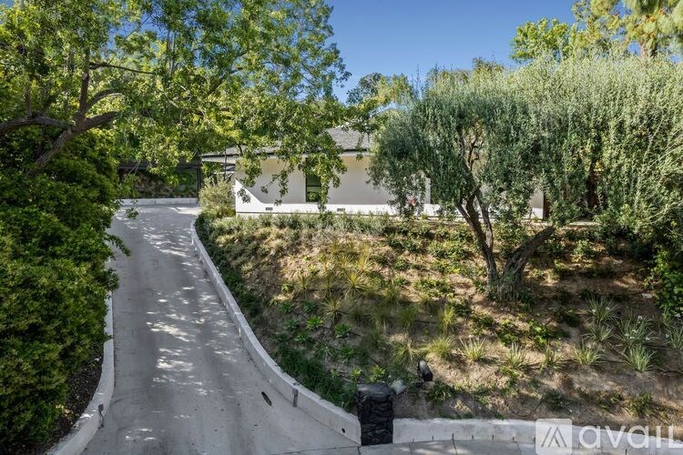 A tree-lined road with a white building in the background.