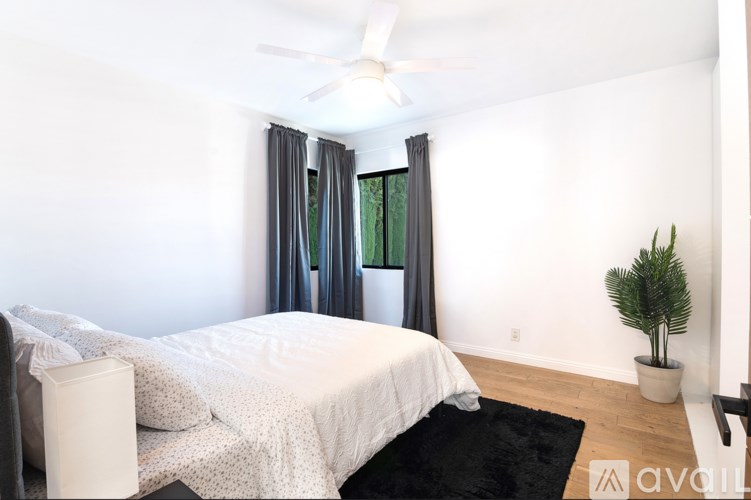 A bedroom with a bed, a ceiling fan, and a plant.