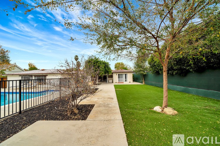 A backyard with a pool and a tree.