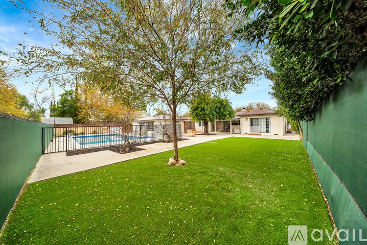 A backyard with a tree, a pool, and a fence.