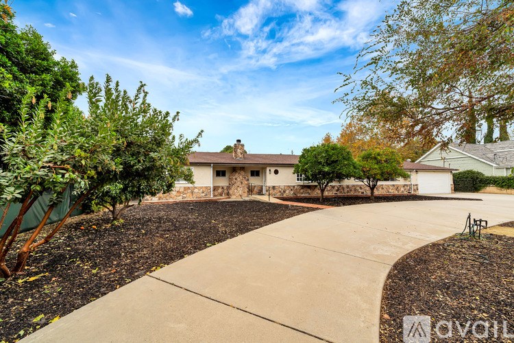A house with a driveway and trees in front of it.