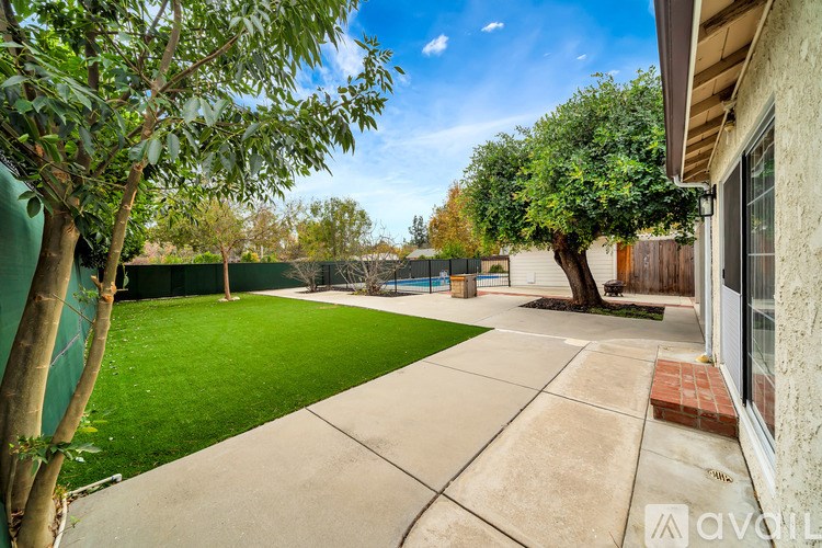 A backyard with a green lawn and a tree.