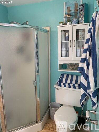 A bathroom with a toilet, a cabinet, and a shower.