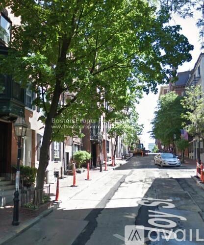 A tree-lined street with a bike lane on the right.