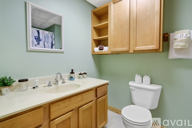 A bathroom with a toilet, sink, and cabinetry.