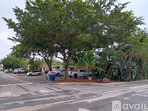 A tree in the middle of a street with cars parked on the side.