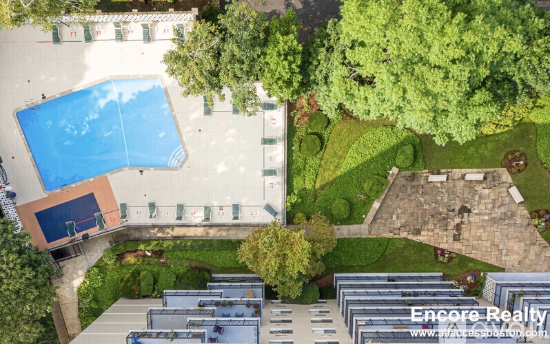 A swimming pool is surrounded by trees and a grassy area.