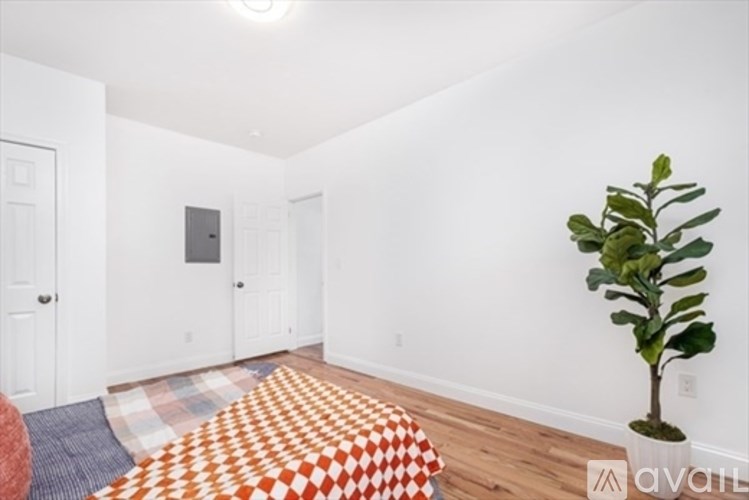 A room with a plaid rug and a plant.