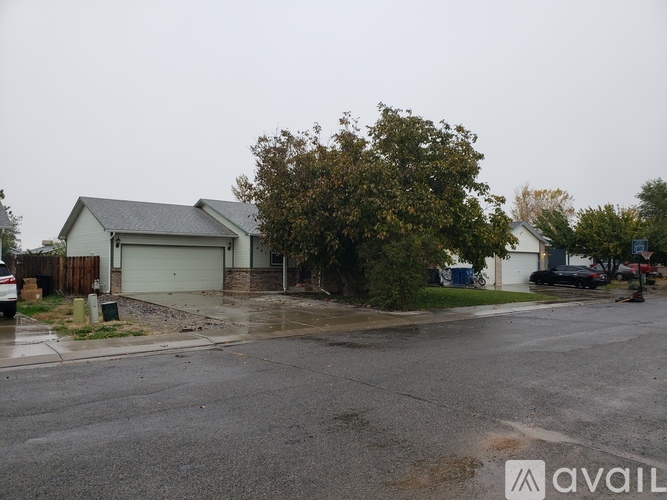 A wet street in front of a house with a tree and a car.