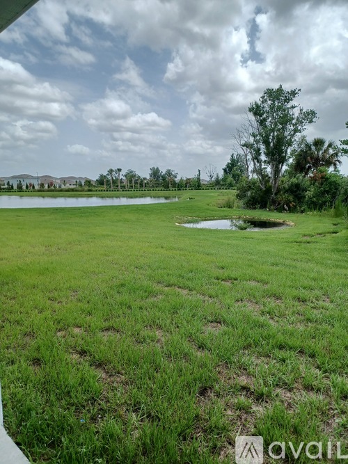 A grassy field with a small pond and trees in the distance.