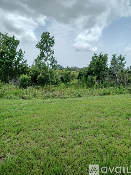 A grassy field with trees in the background.