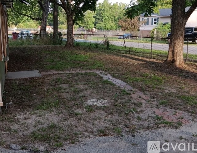 A backyard with a tree and a fence.