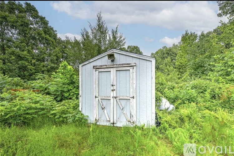 An old shed sits in a field of tall grass.