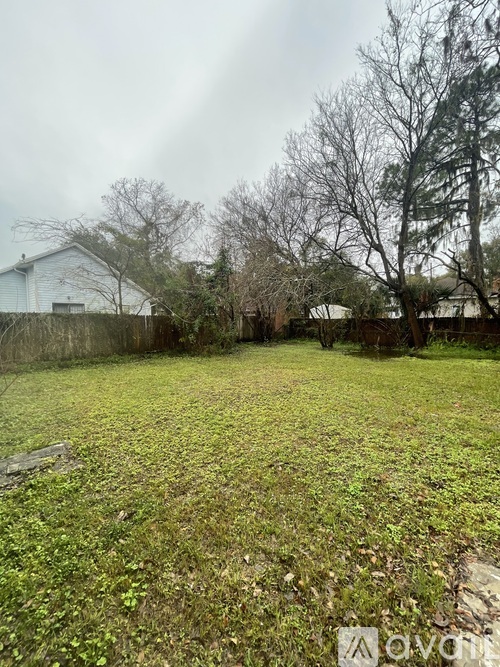 A backyard with a fence and trees.