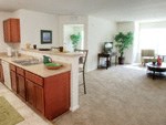 a living room with a kitchen and a dining room