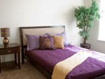 a bedroom with a bed and a potted plant