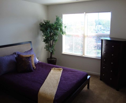 a bedroom with a bed and a window