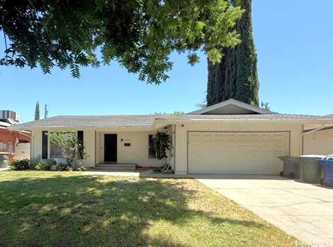 A house with a large tree in front of it.