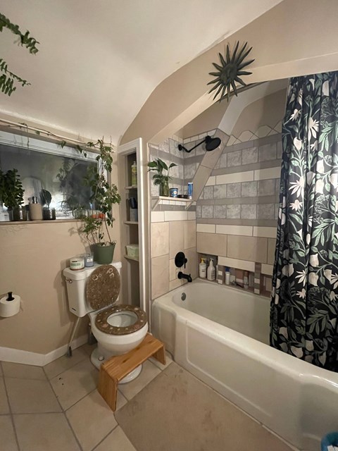A bathroom with a toilet, a bathtub, and a plant.