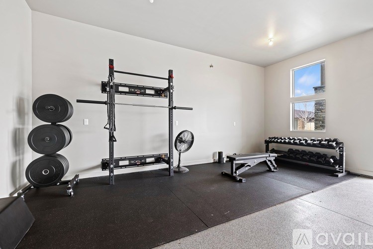 A home gym with a squat rack, bench, and weights.