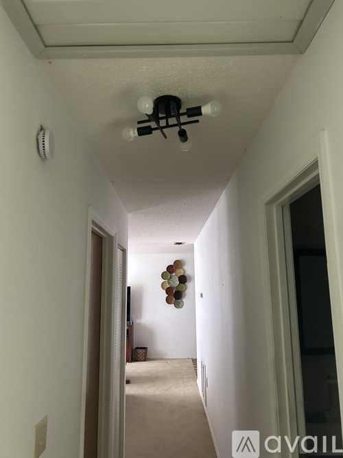 A hallway with a light fixture and a wall-mounted light switch.