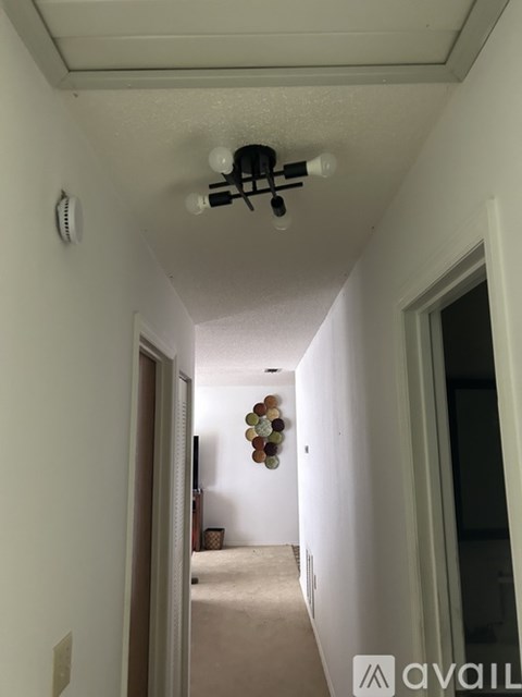 A hallway with a light fixture and a wall-mounted light switch.