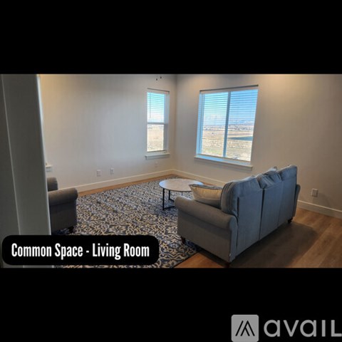 A living room with a grey couch and a patterned rug.