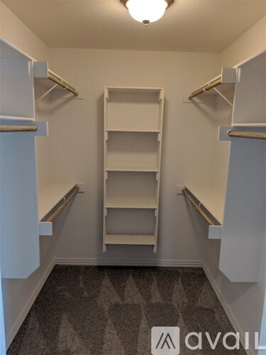 A small walk-in closet with shelves and a carpeted floor.