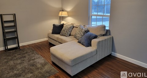 A living room with a grey couch and a grey rug.