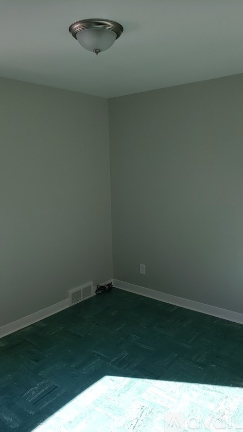 A room with a ceiling light and a green floor.