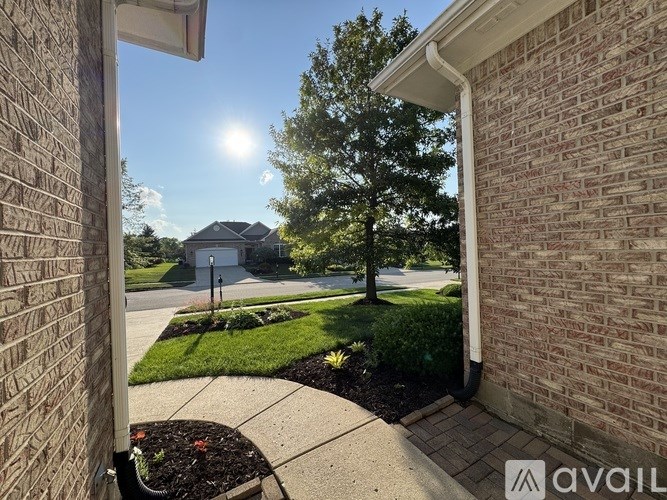 A sunny day in a residential area with houses and greenery.