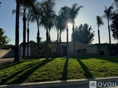 A row of palm trees line a street in front of a house.