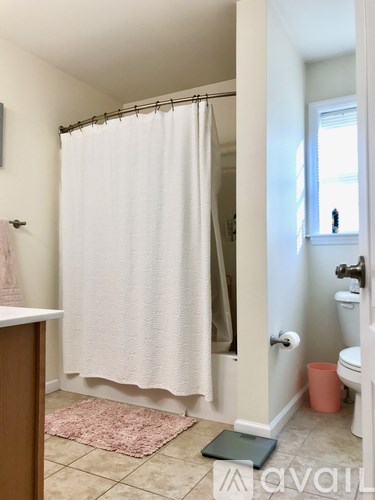 A bathroom with a white shower curtain and a pink rug.