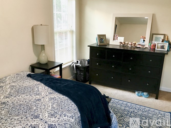 A bedroom with a bed, dresser, and mirror.