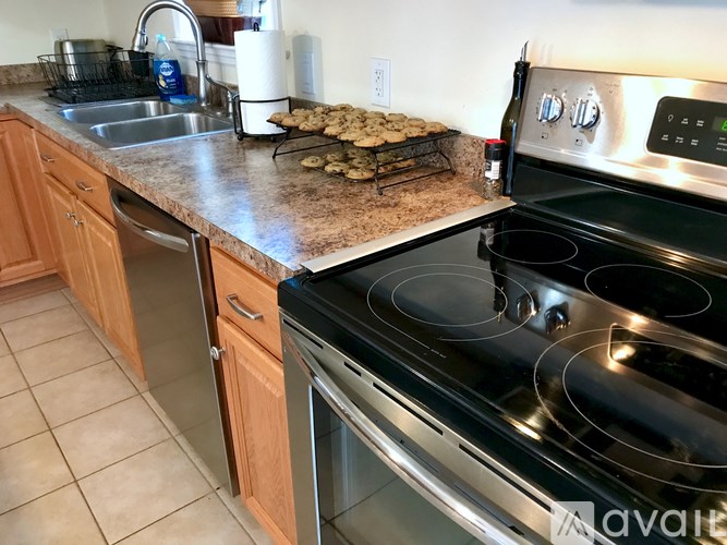 A kitchen with a stove top oven and a dishwasher.